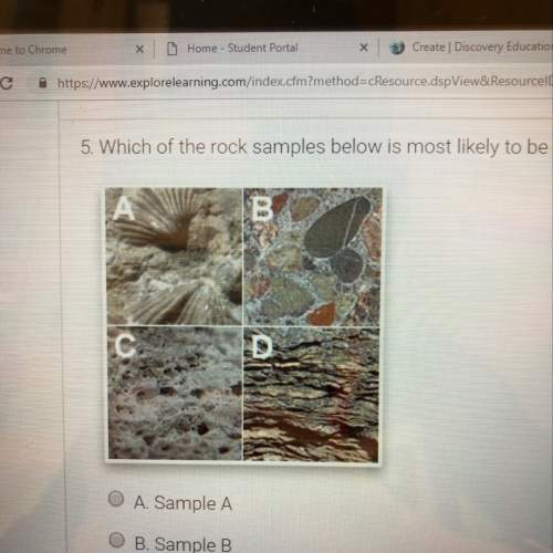 Which of the rock examples below is most likely to be metamorphic