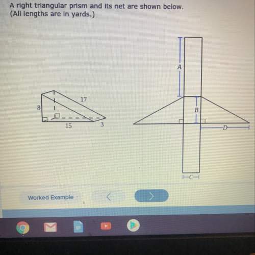 Can someone me asap? it’s surface area
