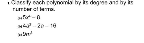 Classify each polynomial by its degree and by its number of terms.