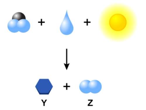 Study the diagram, which represents the general equation for photosynthesis. what do the letters y a