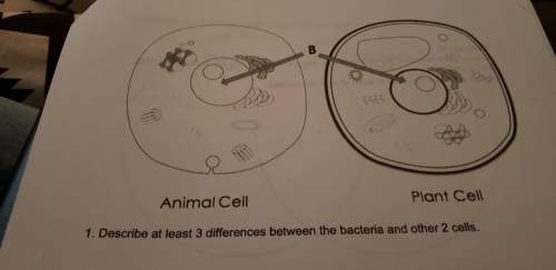 3differences between bacteria and other 2 cells
