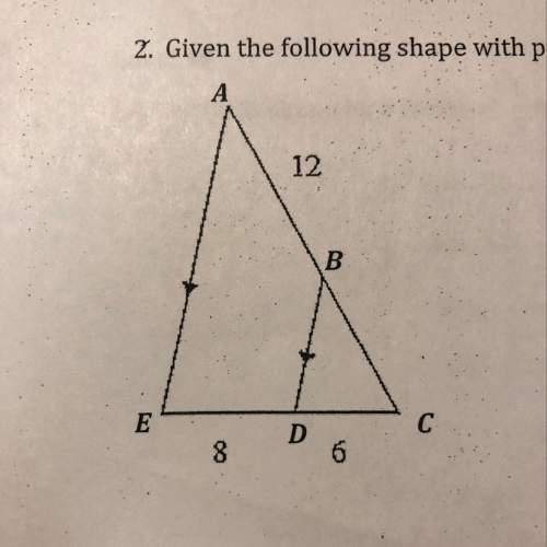 Given the following shape with parellel lines, explain why these two triangles are similar.