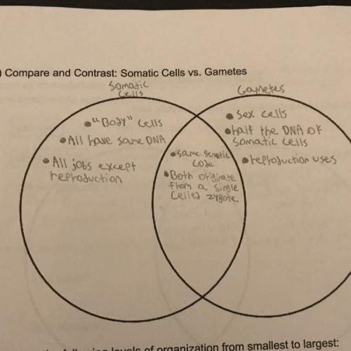 (brainliest) need with somatic cell / gametes venn diagram. are the things i have listed currently