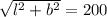 \sqrt{l^2+b^2}=200