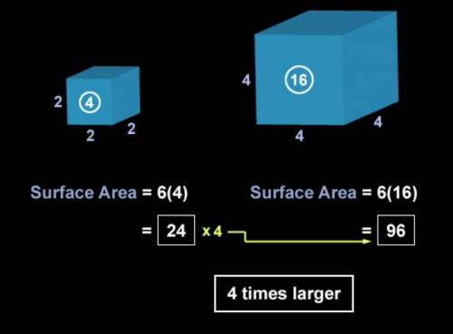 What is the effect that doubling the side length on a cube has on its surface area?