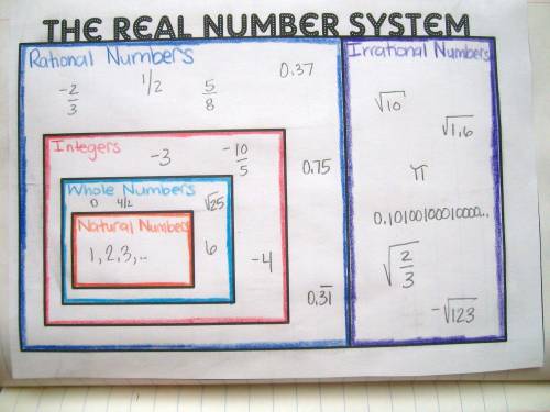 What does a real number system graphic organizer look like