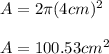 A=2\pi (4cm)^2\\\\A=100.53cm^2