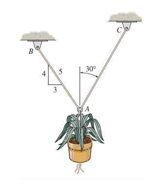 Determine the maximum weight of the flowerpot that can besupported without exceeding a cable tension