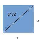 What is the lenght of a diagonal of a square with sides 16feet long ?  round to the nearest tenth.