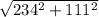 \sqrt{234^{2} + 111^{2}}