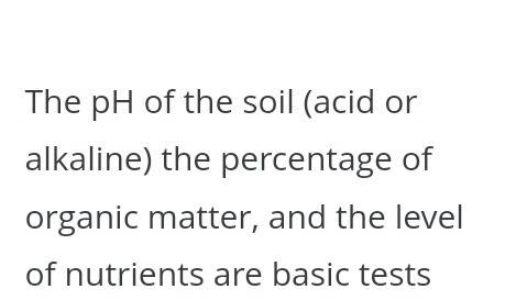 What information does a soil test give you?