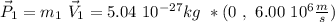 \vec{P}_1 = m_1 \ \vec{V}_1 = 5.04 \ 10^{-27} kg  \ * ( 0  \ , \ 6.00 \ 10 ^{6} \frac{m}{s})
