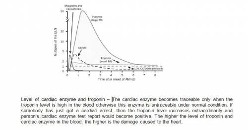Draw a diagram of the changes in blood enzyme and troponin levels that occur before, during and afte