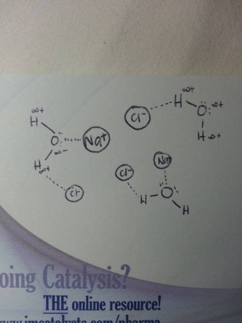 How would i draw water molecules that would be arranged around the sodium and chloride ions