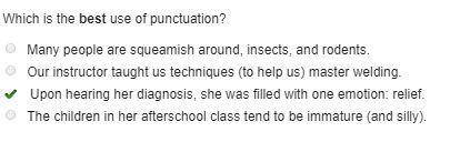 Which is the best use of punctuation?