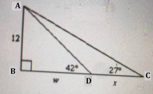 What are the values of w and x in the triangle below?  round the answers to the nearest tenth.w = 13