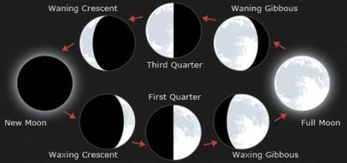 Starting with a new moon, name the phases the moon will pass through before the next new moon.