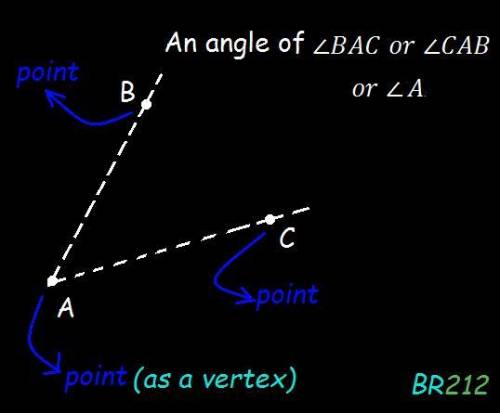 The definition of an angle uses the undefined term  . a.line b.point c.plane d.ray
