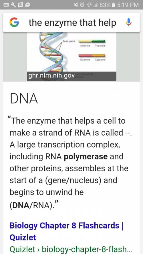 The enzyme that  a cell to make a strand of rna is called
