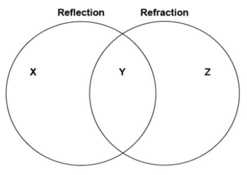 Serena draws a diagram to compare what happens when rays hit a boundary and are either reflected or