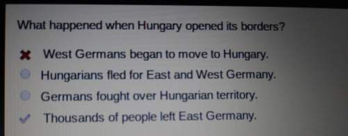 What happened when hungary opened its borders?