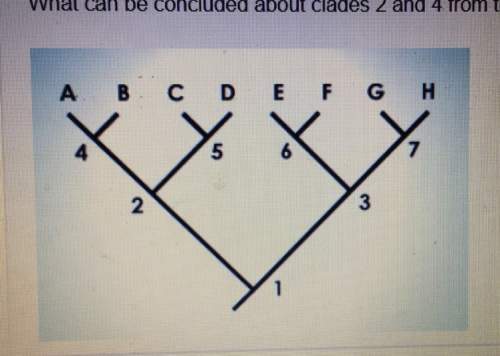 What can be concluded about clades 2 and 4 from this cladogram? a- clade 2 was derived from clade