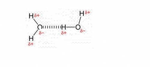 Water molecules tend to stick to one another by  ionic bonding hydrogen bonding covalent bonding