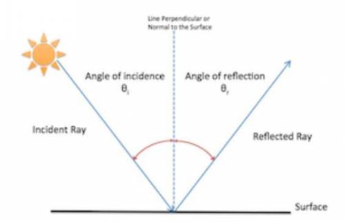 Correct answer only !  which shows the correct reflected ray?