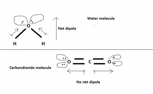 H20 consists of polar molecules. co2 consist of no polar molecules. how do chemist explain this diff