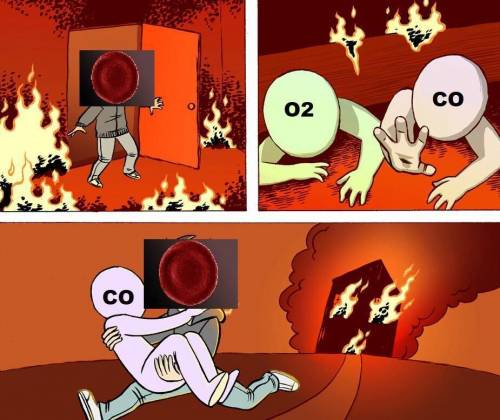 Carbon monoxide (co) is toxic to humans because it:   a. is rapidly converted to toxic co2.  b. bind