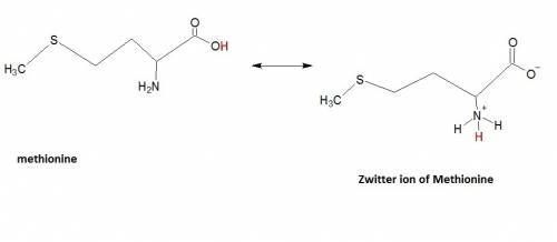 Modify methionine, below to show its zwitterion form.  how do i make methionine into a zwitterion?