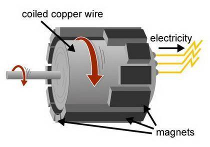 Which of the following best compares how magnetic fields are used in electromagnets and generators?