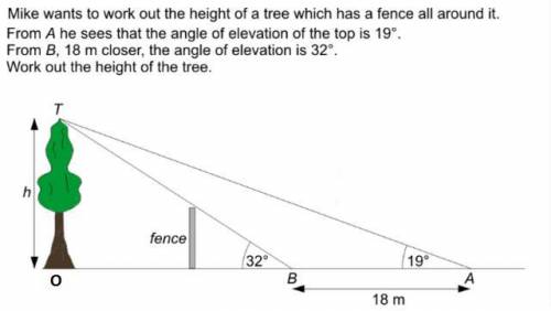 Mike wants to work out the height of a tree with a fence all around it. from a he can see the angle