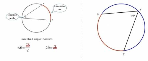 This figure shows circle o with inscribed ∠xyz. m∠xyz=76∘ what is the measure of xyz?