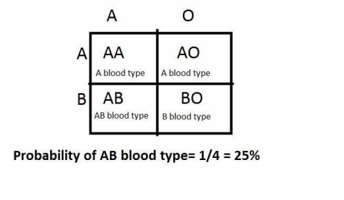Mrs. smith has blood type a. her father has blood type a, and her mother has blood type b. if mr. sm