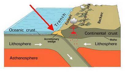 Aprism- or wedge-shaped, structurally complex zone of faults, folds, and mostly metamorphosed rocks