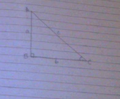 The sine ratio of an angle is the opposite side over the adjacent side.alwaysneversometimes