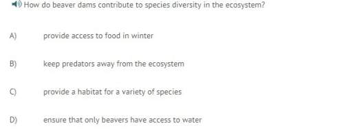 How do beaver dams contribute to species diversity in the ecosystem?