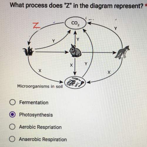 Ithink it is photosynthesis but im not sure
