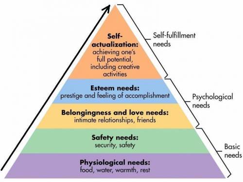 According to maslow's hierarchy of needs, the most basic human needs are for food, water, air, shelt