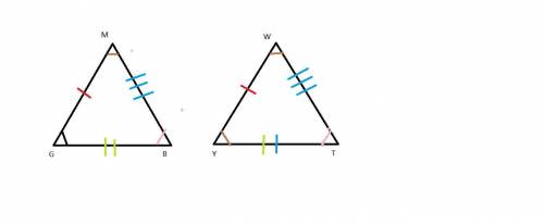 Name the congruent angles and sides for the pair of congruent triangles mgb wyt