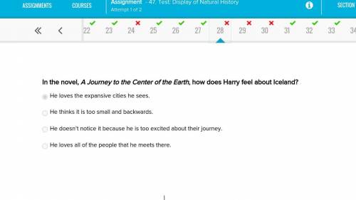 In the novel, a journey to the center of the earth, how does harry feel about iceland?  he loves the
