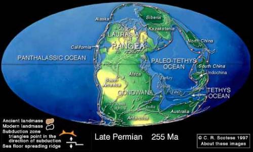 According to the theory of continental drift, what did the earth continents look like 255 million ye