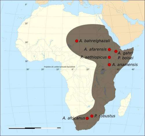 Match each species of pre-australopithecine to the appropriate map showing where its fossil remains
