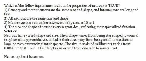 1) sensory and motor neurons are the same size and shape, and interneurons are long and thin.  2) al