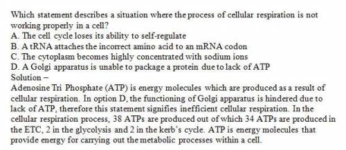 Which statement describes a situation where the process of cellular respiration is not working prope