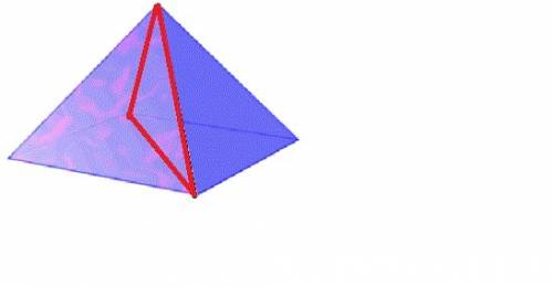 If you sliced a square pyramid and the cross section was a triangle, which way did you slice it?  *