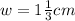 w=1\frac{1}{3}cm