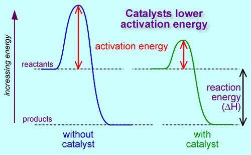 Something that makes reactions start more easily and increase how fast the reaction occurs