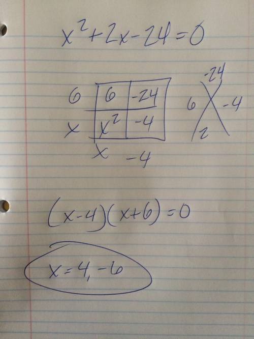 What is the solution set of the equation x²+2x-24=0?